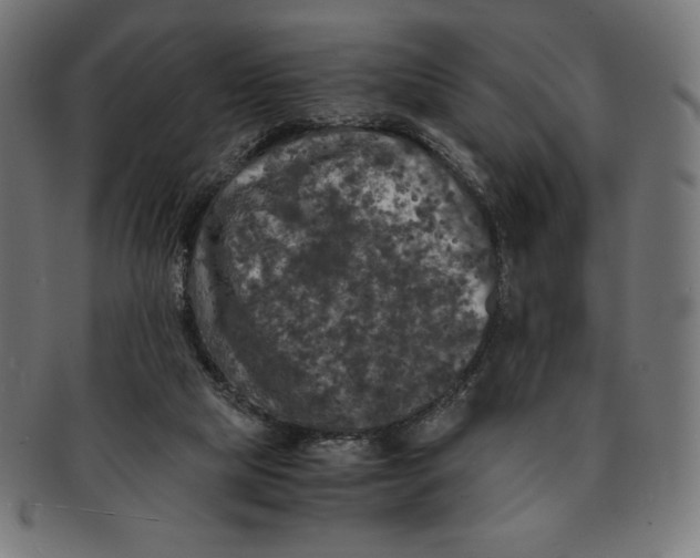 X0000091200065200709061421