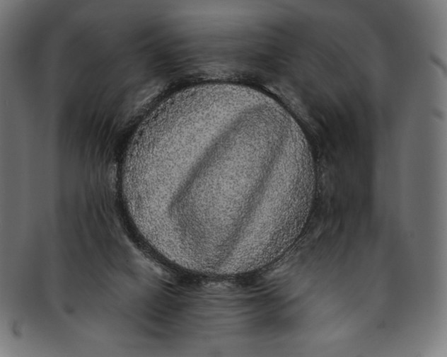X0000091200066200709061421