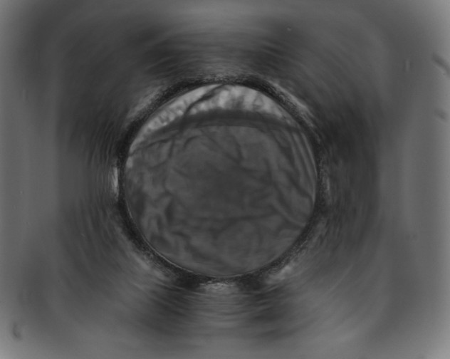 X0000091200067200709061421