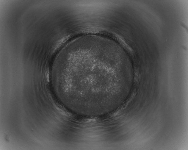 X0000091200068200709061421