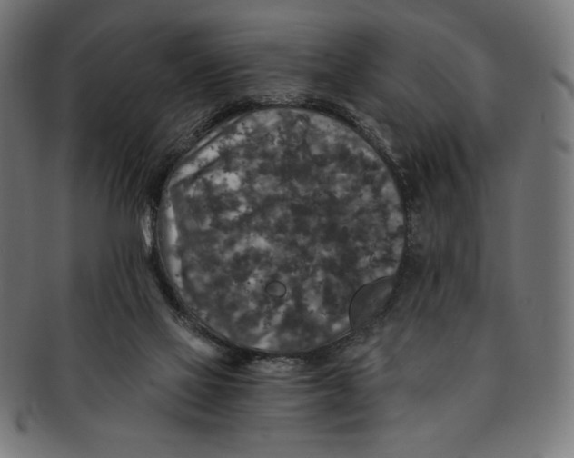 X0000091200069200709061421