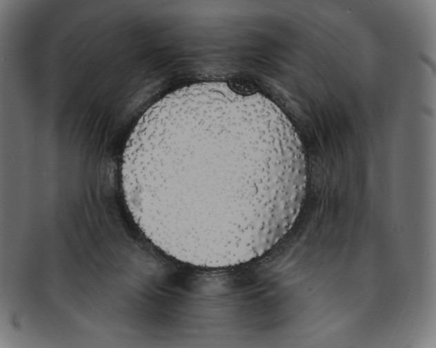 X0000091200071200709061421
