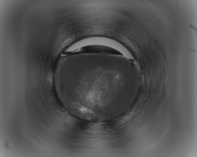 X0000091200072200709061421