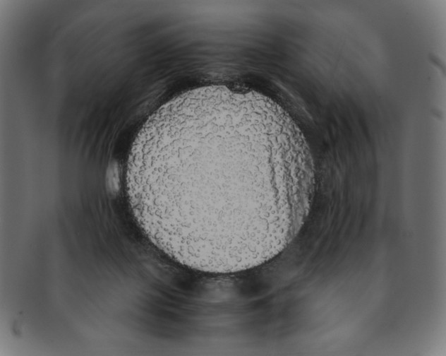 X0000091200075200709061421