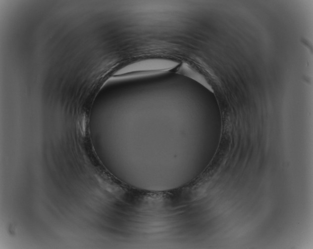 X0000091200076200709061421