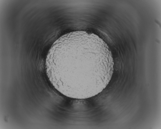 X0000091200077200709061421