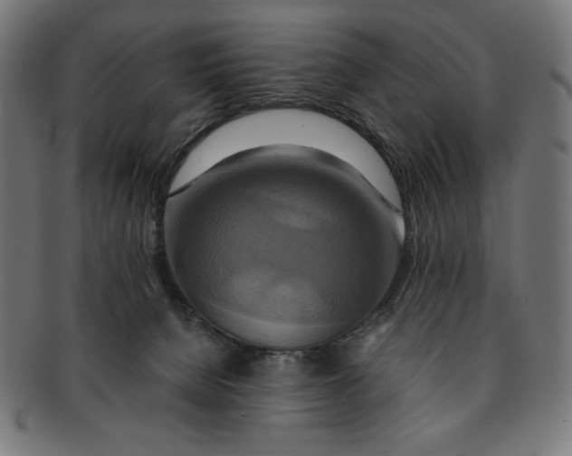 X0000091200080200709061421