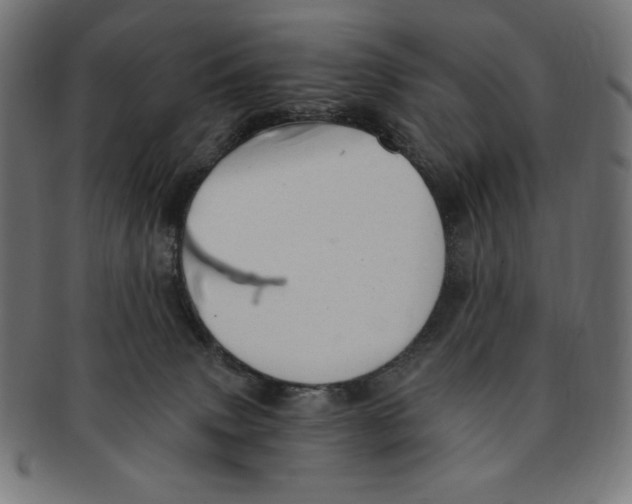 X0000091200083200709061421