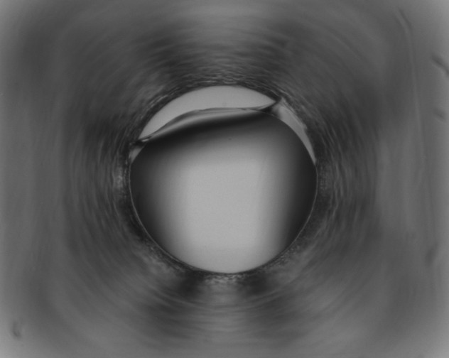 X0000091200084200709061421