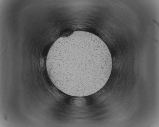 X0000091200087200709061421