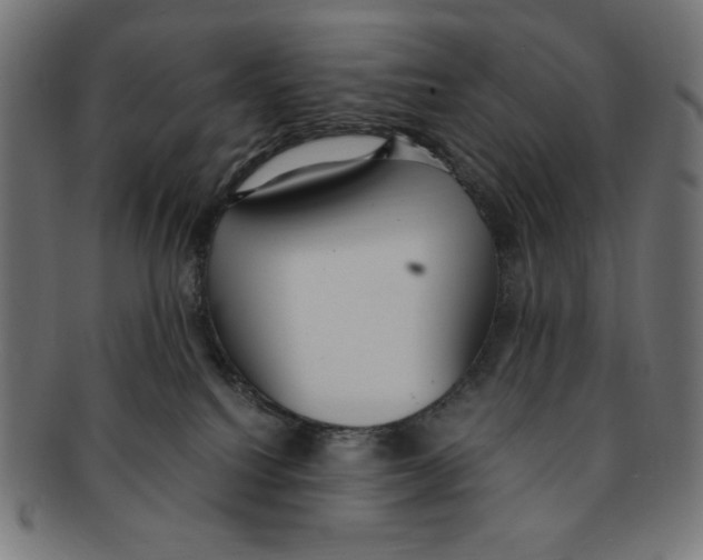 X0000091200088200709061421