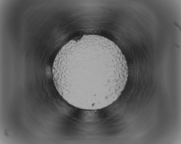 X0000091200089200709061421
