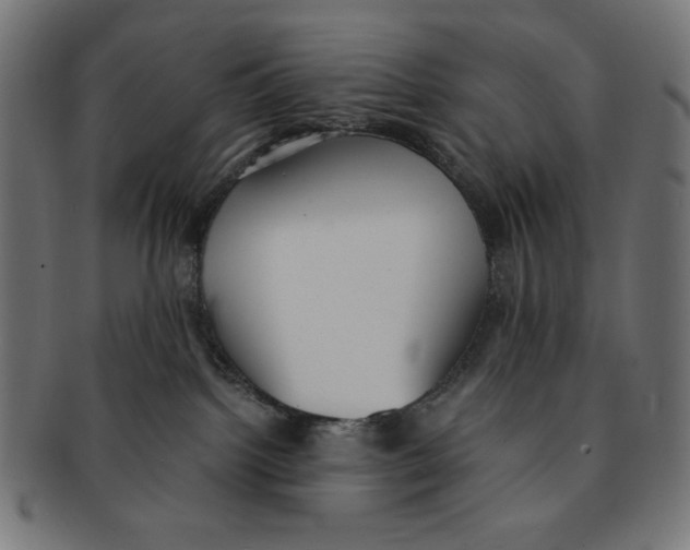 X0000091200092200709061421