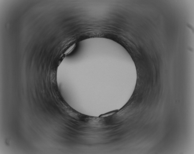 X0000091200096200709061421