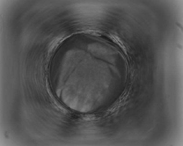 X0000091200097200709061421