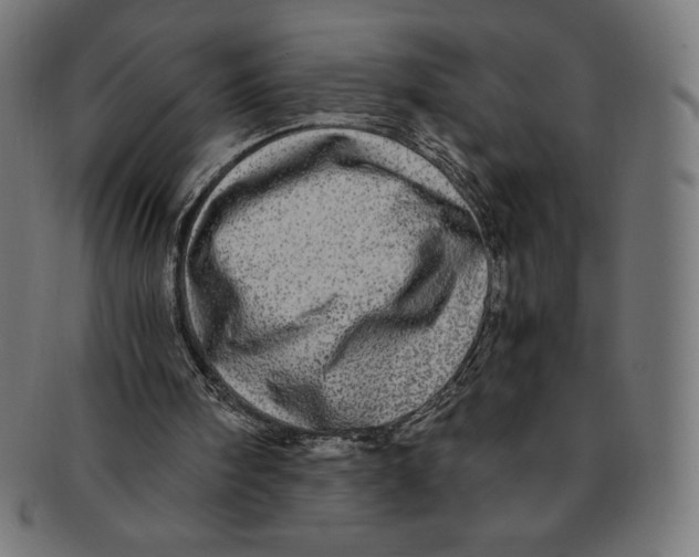 X0000091200098200709061421
