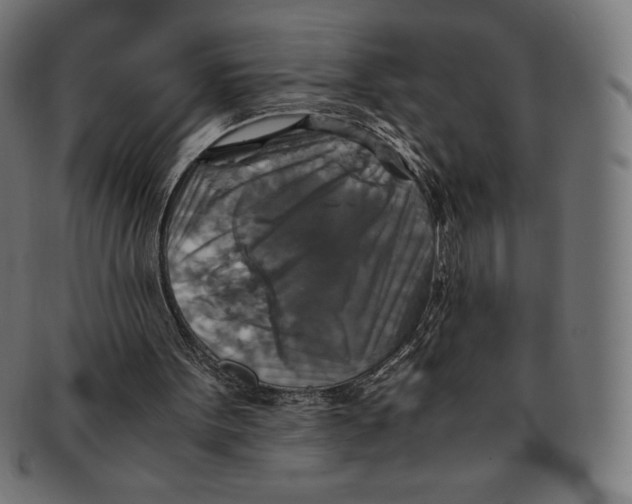 X0000091200099200709061421