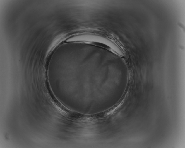 X0000091200101200709061421