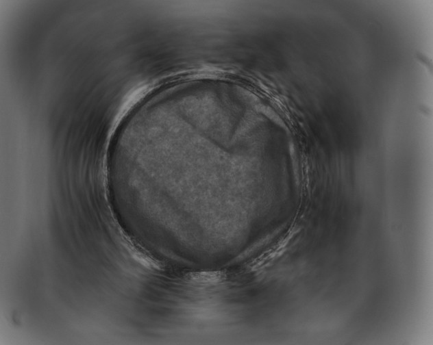 X0000091200102200709061421