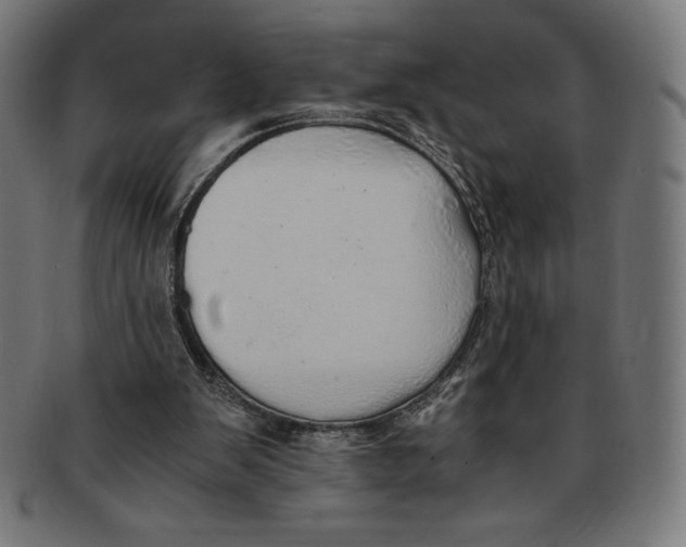 X0000091200103200709061420