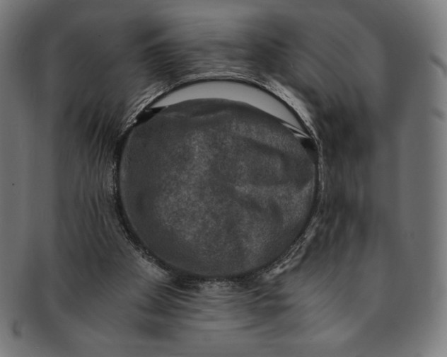 X0000091200105200709061420