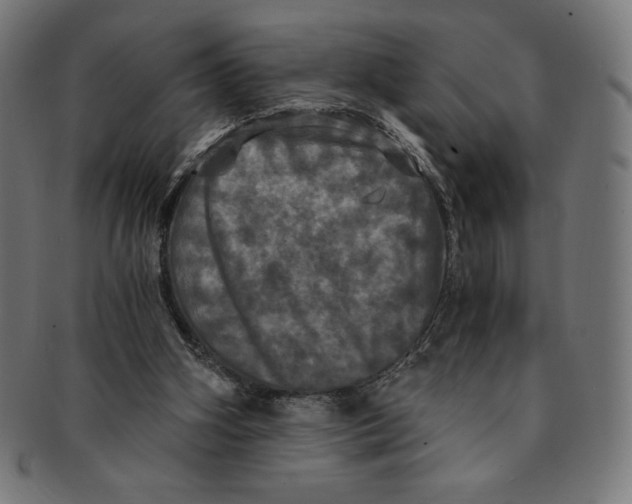 X0000091200106200709061420