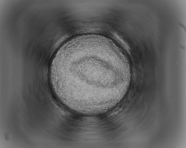 X0000091200107200709061420