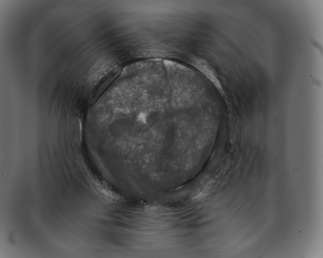 X0000091200109200709061420
