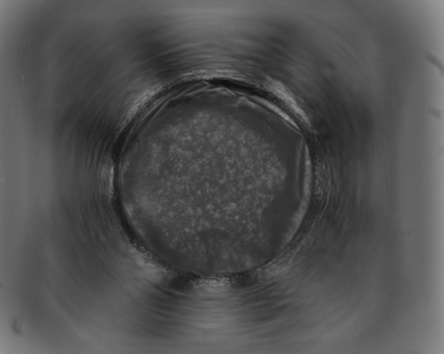 X0000091200110200709061420
