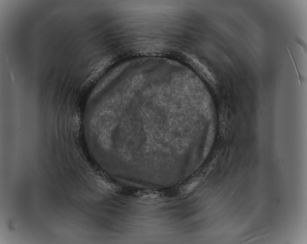 X0000091200113200709061420