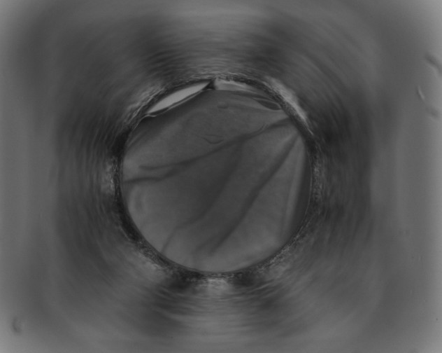 X0000091200114200709061420