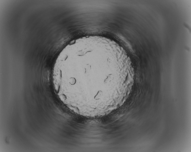 X0000091200115200709061420