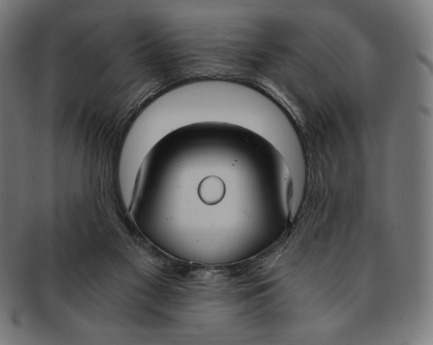 X0000091200117200709061420