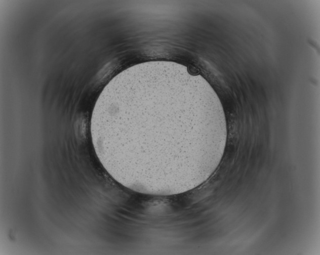 X0000091200124200709061420