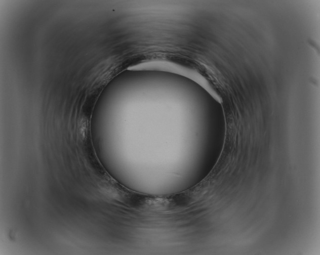 X0000091200125200709061420