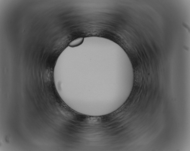 X0000091200126200709061420
