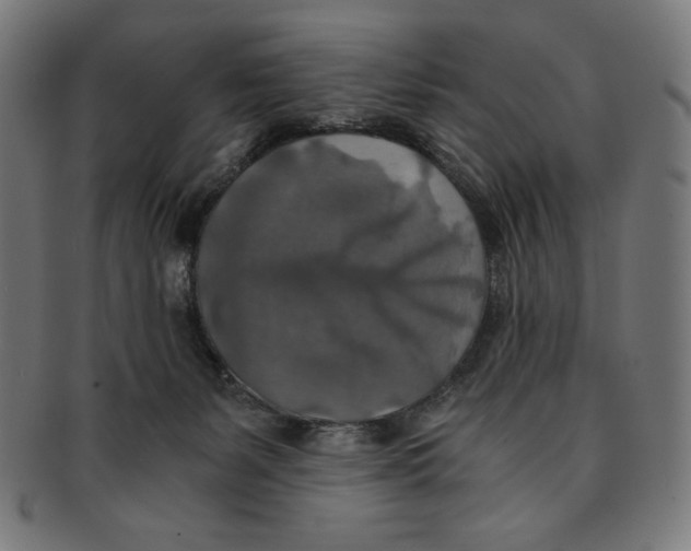 X0000091200127200709061420