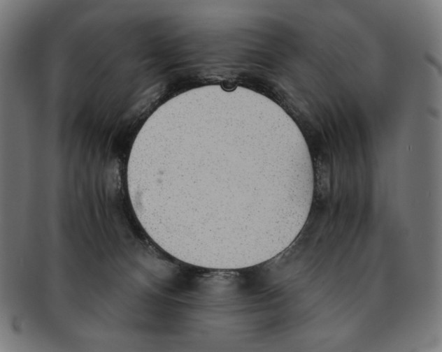 X0000091200128200709061420