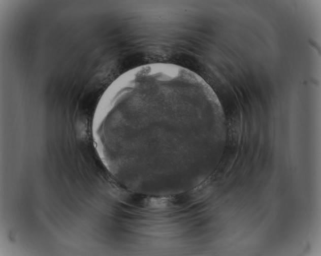 X0000091200134200709061420