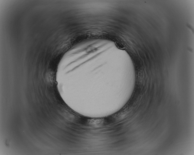 X0000091200135200709061420