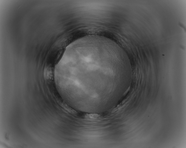 X0000091200137200709061420