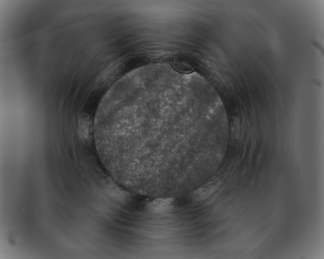 X0000091200138200709061420