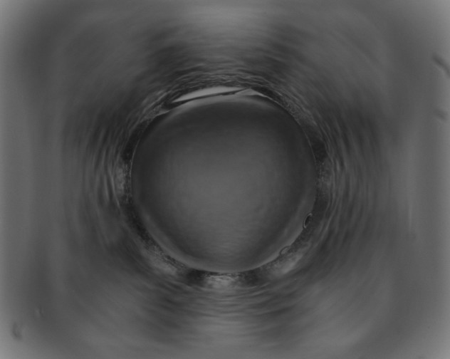 X0000091200139200709061420