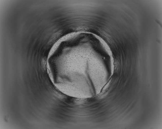 X0000091200142200709061420