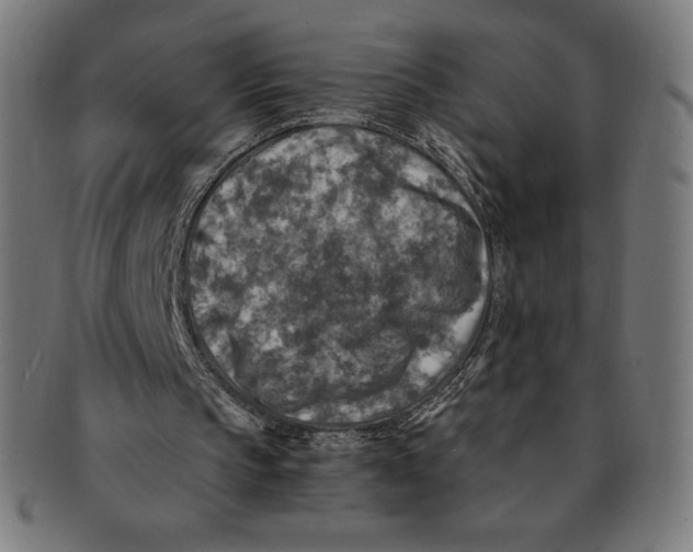 X0000091200145200709061419
