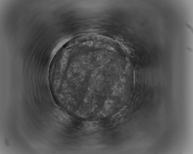 X0000091200147200709061419