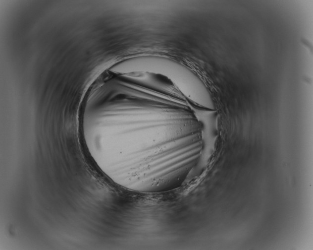X0000091200148200709061419