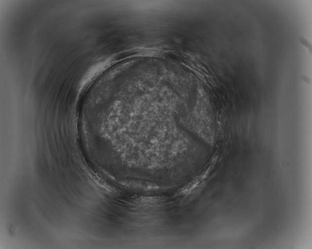 X0000091200149200709061419