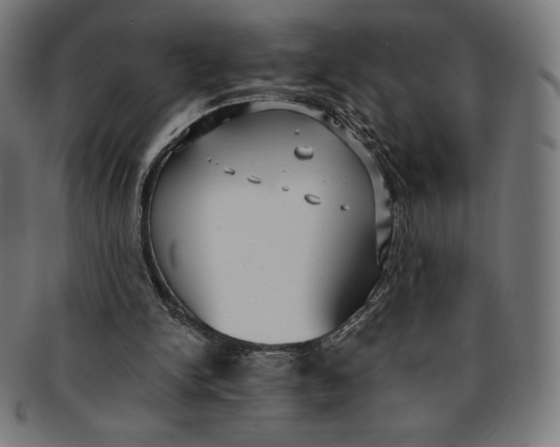 X0000091200150200709061419