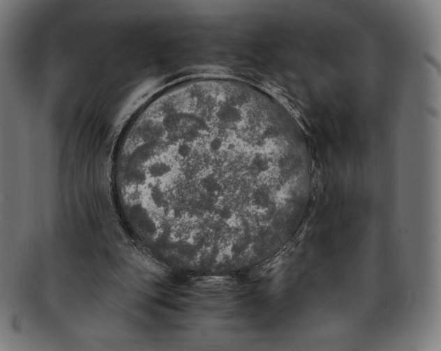 X0000091200151200709061420
